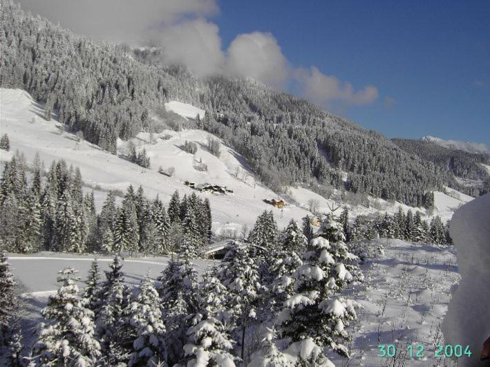 Ferienapartments Reusch Sankt Martin am Tennengebirge Dış mekan fotoğraf